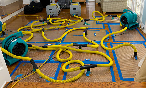 Professional Crawl Space Water Removal technician working in Rockford, IL